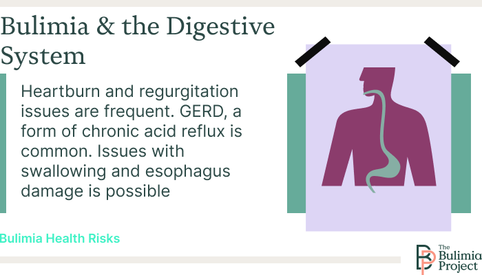 digestive